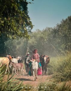 Gabal, l’homme qui fait parler sa caméra 1 - Le Progrès Egyptien