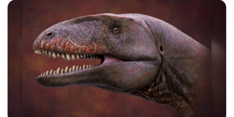 “Merci l’Egypte, je t’aime” de Romatet et les mégaprojets, en tête cette semaine 2 - Le Progrès Egyptien “Merci l’Egypte, je t’aime” de Romatet et les mégaprojets, en tête cette semaine 1 - Le Progrès Egyptien