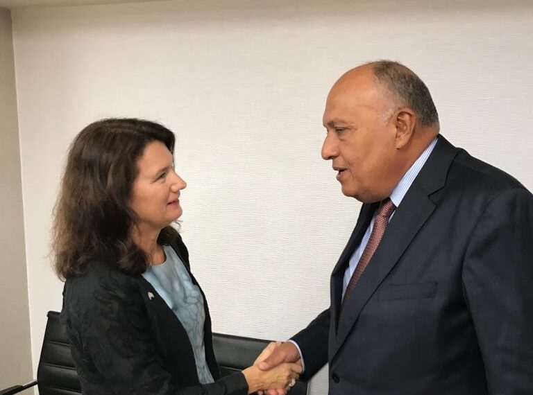 Choucri s'entretient avec son homologue suédoise et le SG de l'UpM 1 - Le Progrès Egyptien