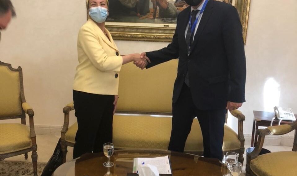 Egypte-Chypre : Vaste partenariat écologique 1 - Le Progrès Egyptien