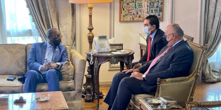 L’Egypte et la RDC renforcent leur partenariat stratégique 1 - Le Progrès Egyptien