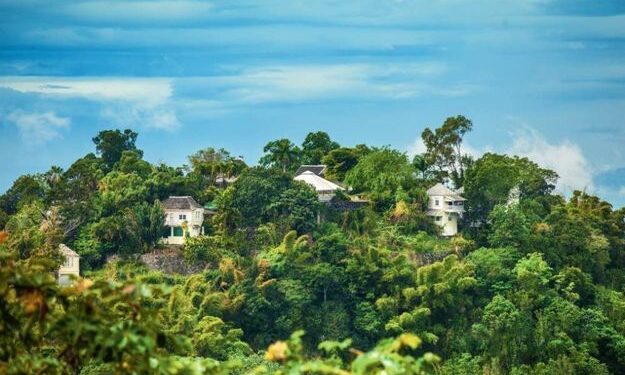 James Bond revient en Jamaïque 1 - Le Progrès Egyptien