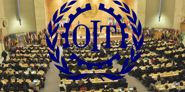 Les clubs de recherche d’emploi gérés par l’OIT se développent 1 - Le Progrès Egyptien