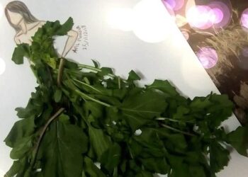 La nature fascine la mode   