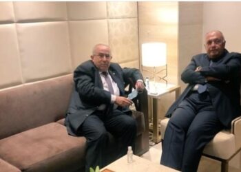 Entretien Choucri-Lamamra