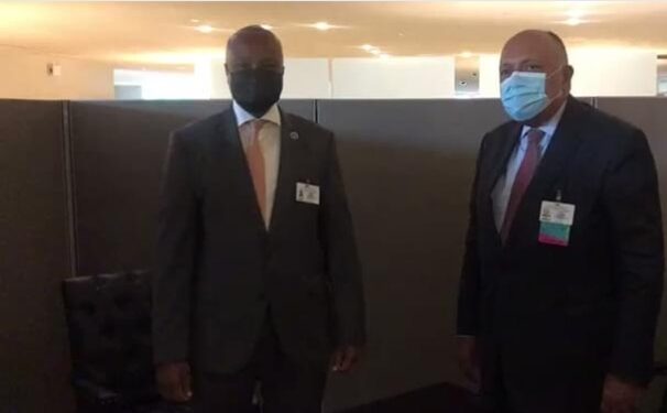 Réunion de Choucri et son homologue somalien 2 - Le Progrès Egyptien Réunion de Choucri et son homologue somalien 1 - Le Progrès Egyptien