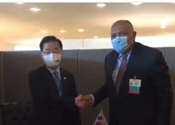 Choucri s’entretient avec son homologue sud-coréen