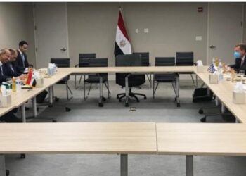 Entretien Choucri-Dendias