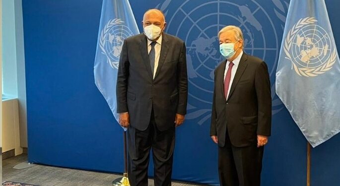 Tête-à-tête Choucri-Guterres 1 - Le Progrès Egyptien