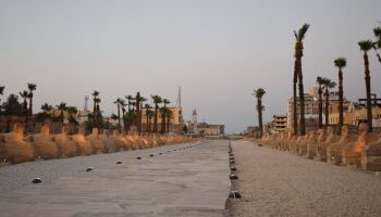 Louxor : Travail intensifié pour achever l’Allée des béliers