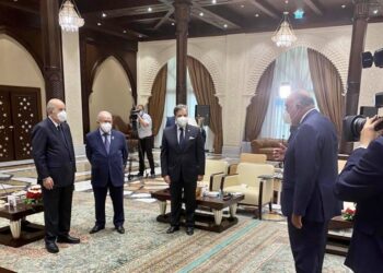 Choucri reçu par le président algérien