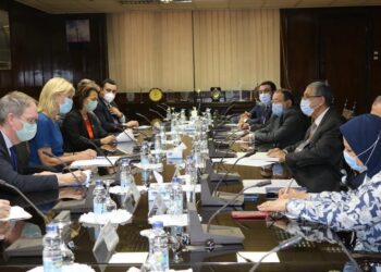 Energie : Booster la coopération égypto-suédoise