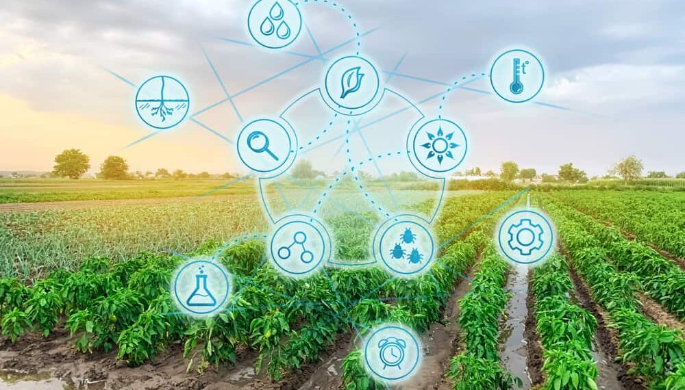 L’importance de l’innovation au service de l’agriculture 2 - Le Progrès Egyptien L’importance de l’innovation au service de l’agriculture 1 - Le Progrès Egyptien