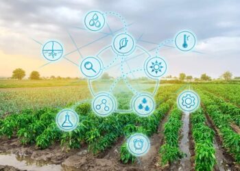 L’importance de l’innovation au service de l’agriculture