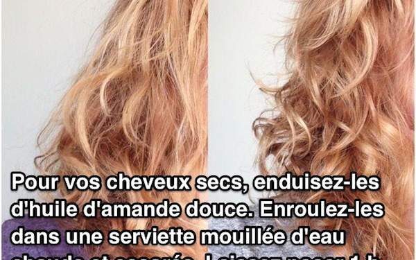 Cheveux secs : 5 astuces hyper efficaces pour les hydrater 2 - Le Progrès Egyptien Cheveux secs : 5 astuces hyper efficaces pour les hydrater 1 - Le Progrès Egyptien