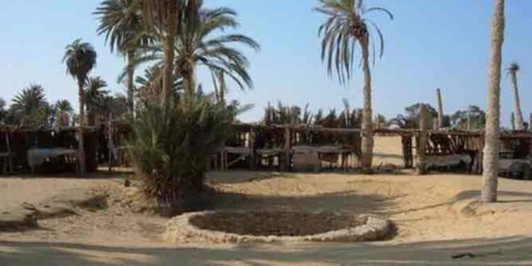 Le puits du prophète Moïse et ses souvenirs en Egypte 2 - Le Progrès Egyptien Le puits du prophète Moïse et ses souvenirs en Egypte 1 - Le Progrès Egyptien