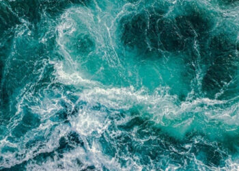 L’eau est l’essence du développement social et économique