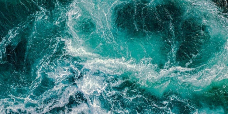 L'eau est l'essence du développement social et économique 2 - Le Progrès Egyptien L'eau est l'essence du développement social et économique 1 - Le Progrès Egyptien