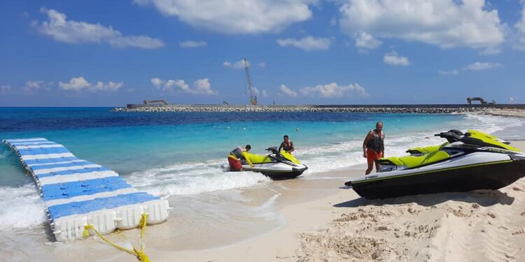 Attaque de requin : Les plages du Littoral Nord sont sûres 1 - Le Progrès Egyptien