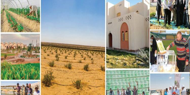 Tahya Misr : Soutien aux familles démunies 1 - Le Progrès Egyptien