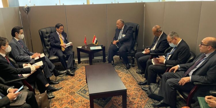 Choucri discute avec son homologue vietnamien du renforcement de la coopération bilatérale 2 - Le Progrès Egyptien Choucri discute avec son homologue vietnamien du renforcement de la coopération bilatérale 1 - Le Progrès Egyptien