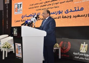 337 mds LE, volume des investissements de l’État à Port-Saïd en sept ans