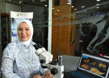 “Safroutes” la plus petite souris, vivait en Egypte il y a 34 millions d’années !