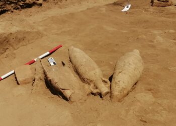Temple de Louxor : Découverte des amphores et des lanternes