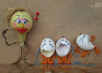 Une coquille d’œufs qui dissipe la grisaille !