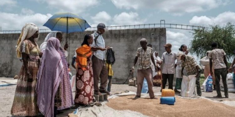 Ethiopie: l'ONU fait état d'une malnutrition "sans précédent" au Tigré 1 - Le Progrès Egyptien
