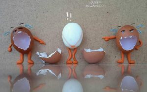 Une coquille d’œufs qui dissipe la grisaille ! 3 - Le Progrès Egyptien