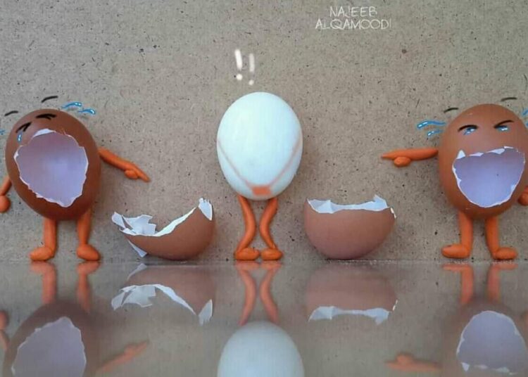 Une coquille d’œufs qui dissipe la grisaille !