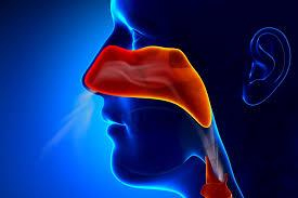 Le sinus chronique affecte l’interaction avec le monde