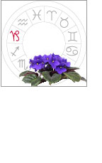 Un horoscope florial 21 - Le Progrès Egyptien