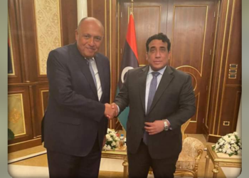 Entretien Choucri-Al Manfi