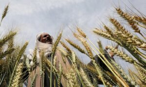 L’année copte, une symphonie harmonieuse 7 - Le Progrès Egyptien