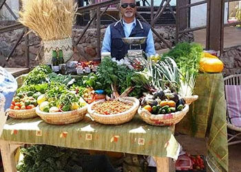 L’agrotourisme, explorez de nouveaux types de tourisme en Egypte  !