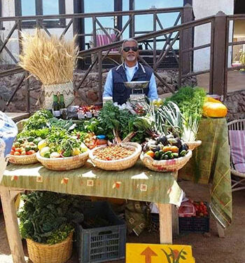 L’agrotourisme, explorez de nouveaux types de tourisme en Egypte ! 2 - Le Progrès Egyptien L’agrotourisme, explorez de nouveaux types de tourisme en Egypte ! 1 - Le Progrès Egyptien