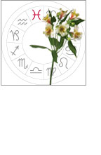 Un horoscope florial 25 - Le Progrès Egyptien