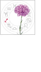 Un horoscope florial 19 - Le Progrès Egyptien