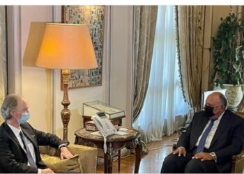 Entretien Choucri-Pedersen