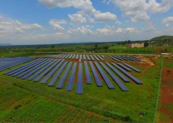 Mouled : Joie et recueillement