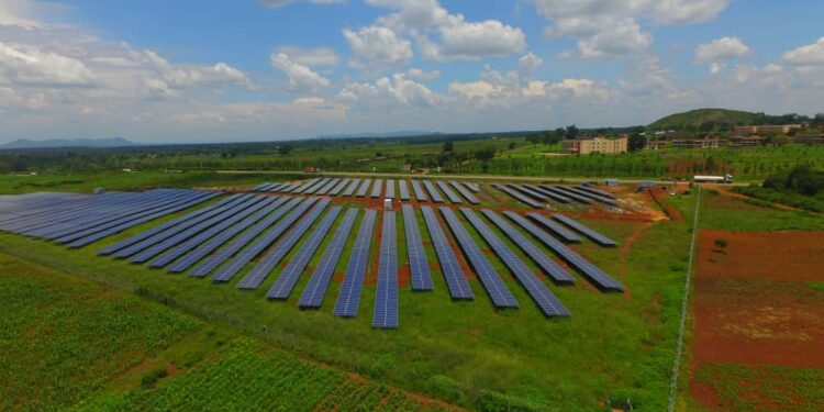 Mouled : Joie et recueillement 1 - Le Progrès Egyptien