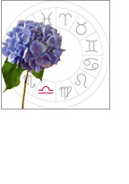 Un horoscope florial 15 - Le Progrès Egyptien