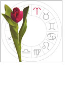 Un horoscope florial 3 - Le Progrès Egyptien