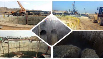 La forêt de sérapium d’Ismaïliya… une nouvelle voie d’investissement