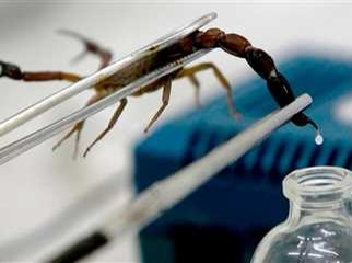 Des études élaborées par des scientifiques égyptiens