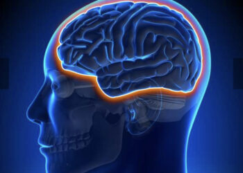 Covid : Apparition de vaisseaux fantômes dans le cerveau