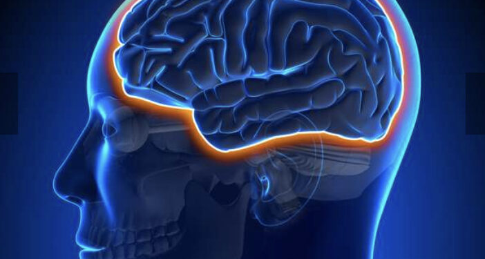 Covid : Apparition de vaisseaux fantômes dans le cerveau 1 - Le Progrès Egyptien