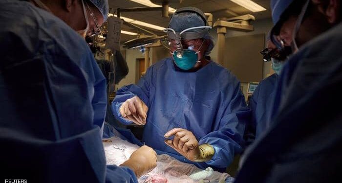 Un rein de porc transplanté au corps d’un patient 1 - Le Progrès Egyptien